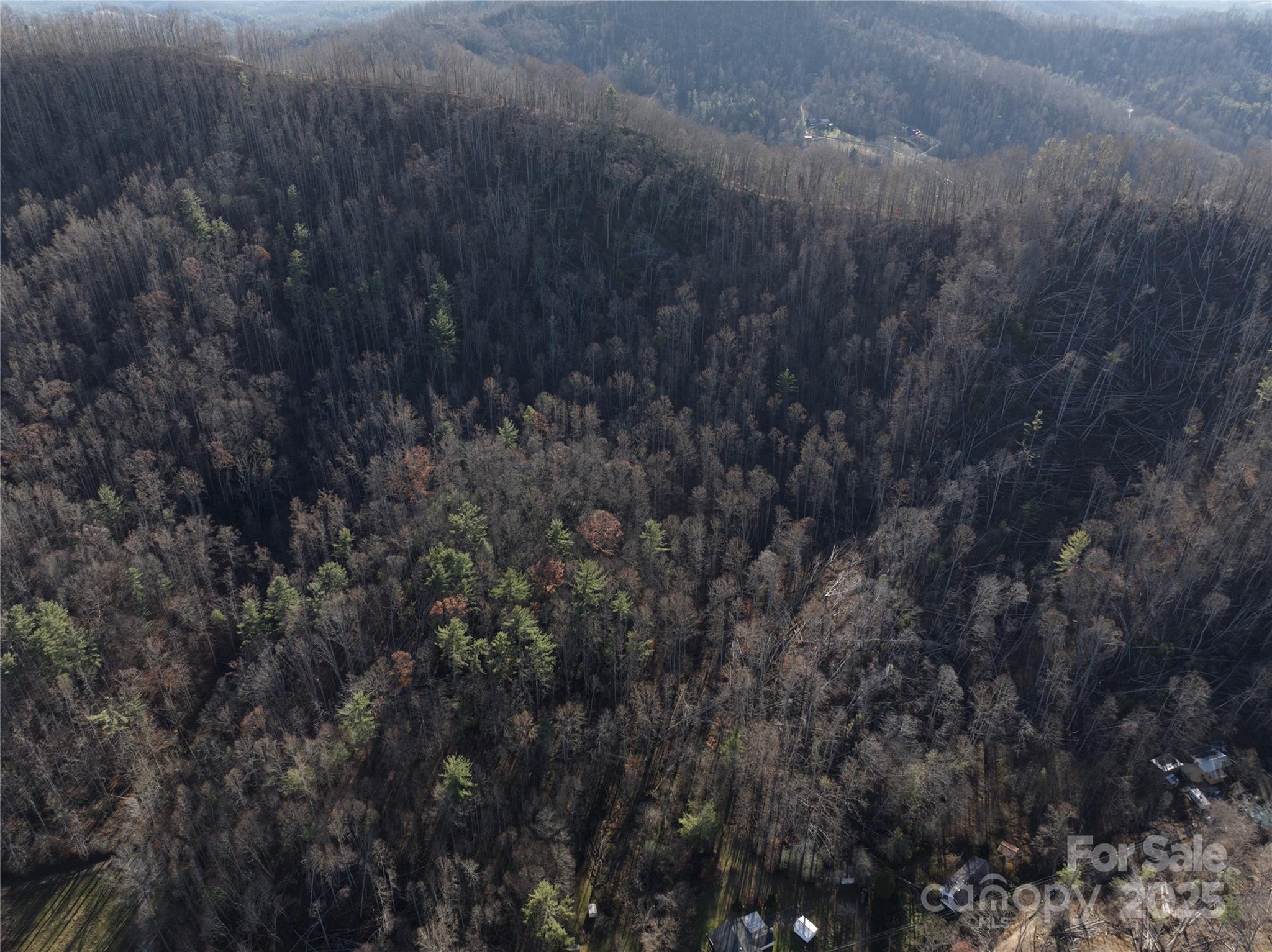 615 Fred Sparks Road