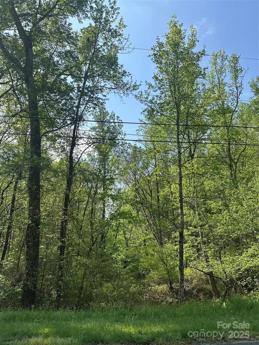 Location, location! Located in Western Stanly County in downtown Stanfield, this 1.75 acre lot offers a retreat from the hustle and bustle of city life. Tucked away in a peaceful setting, this undeveloped land offers a rare opportunity to build your dream home or weekend retreat surrounded by mature hardwoods and lush greenery.
Whether you envision a custom estate, cozy cabin, or modern farmhouse, this expansive parcel provides plenty of room for creative design, outdoor living, and future growth. Enjoy the serenity of nature, the shade of towering trees, and the potential for trails, gardens, or a firepit under the stars. With road frontage and access easy access to Locust, with a Farmers Market, Summer Concerts and Movies. This lot combines the freedom of rural living with convenient proximity to town amenities, schools, and a park. No HOA and minimal restrictions—bring your builder and start planning today and live in one of the cutest downtowns in Western Stanly County!