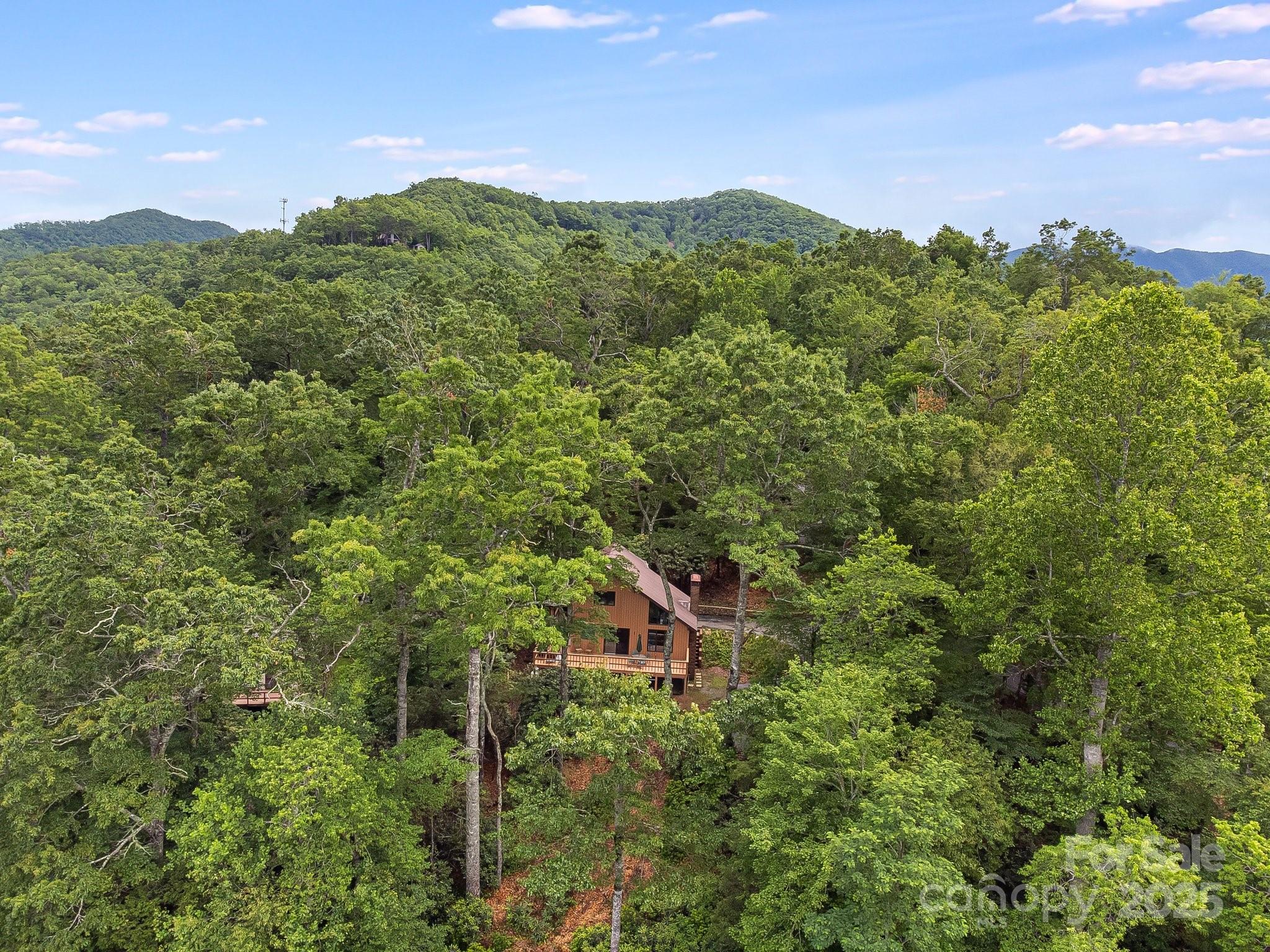Mt. Mitchell Lands - Residential
