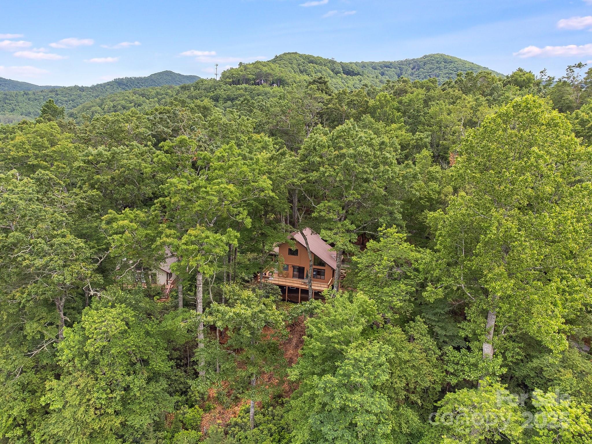 Mt. Mitchell Lands - Residential