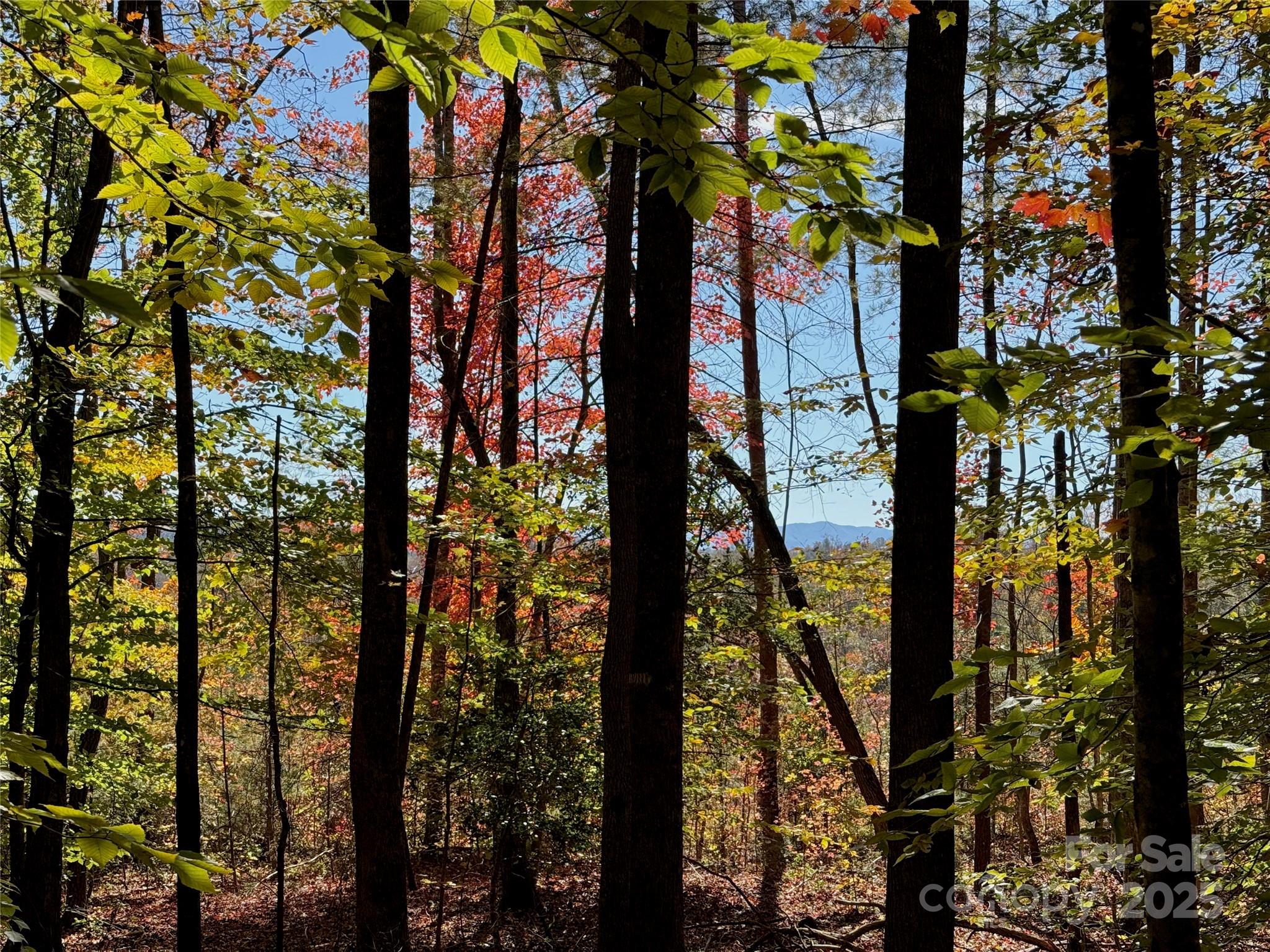 2800 Snipes Street 3