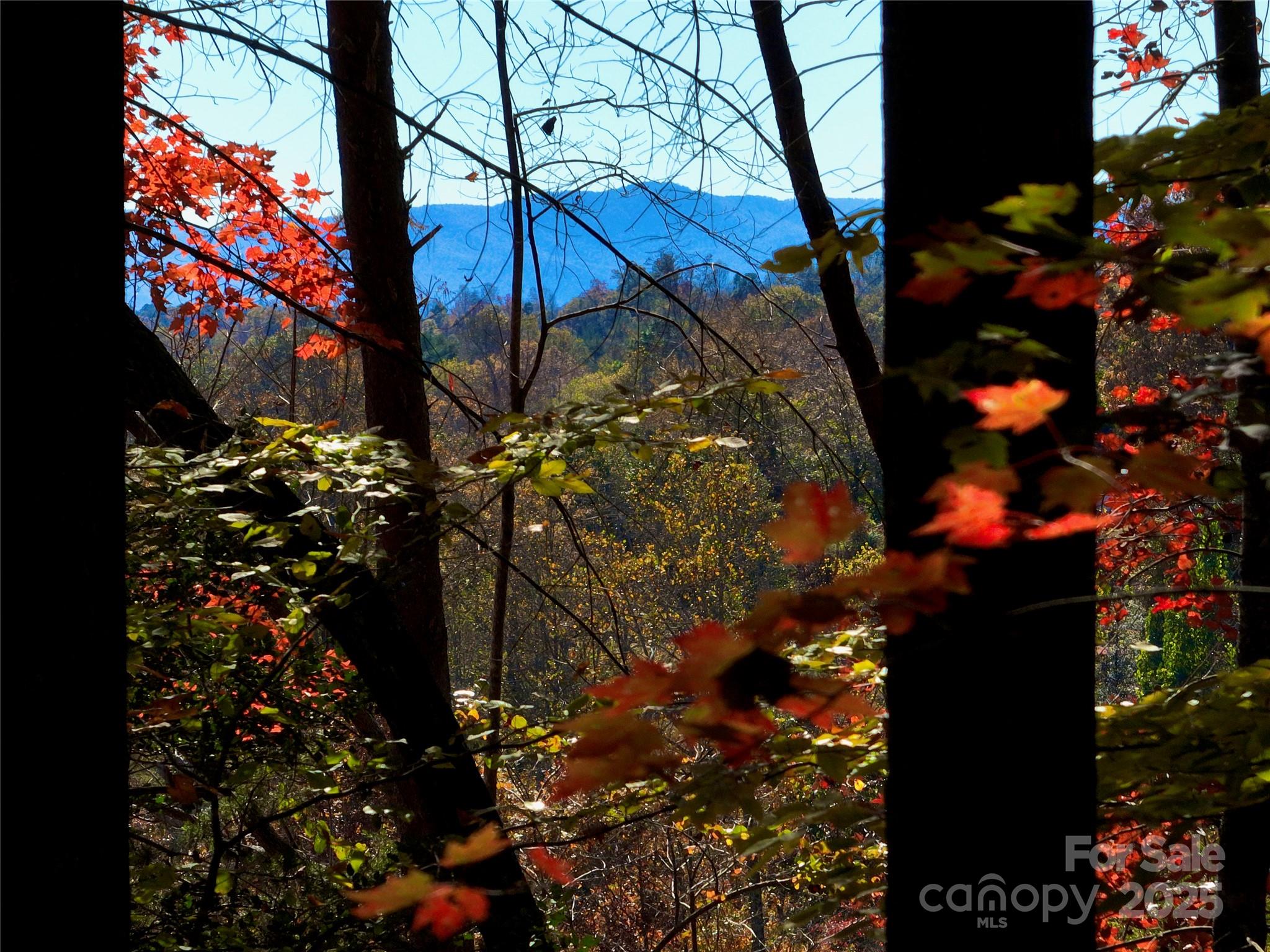 2800 Snipes Street 3