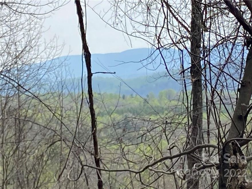 If you are looking for that private natural retreat, this is it.  Unrestricted acreage in Saluda, N.C. that adjoins the 19,000 acre Greenville watershed preserve.  Privacy near the end of the road.  The Palmetto Foothills Trail runs along the SC side of the property.  A small stream runs across the front of the property.  Abundant wildlife.  An old logging road takes you part way to the top.  Property like this is  not on the market very often.