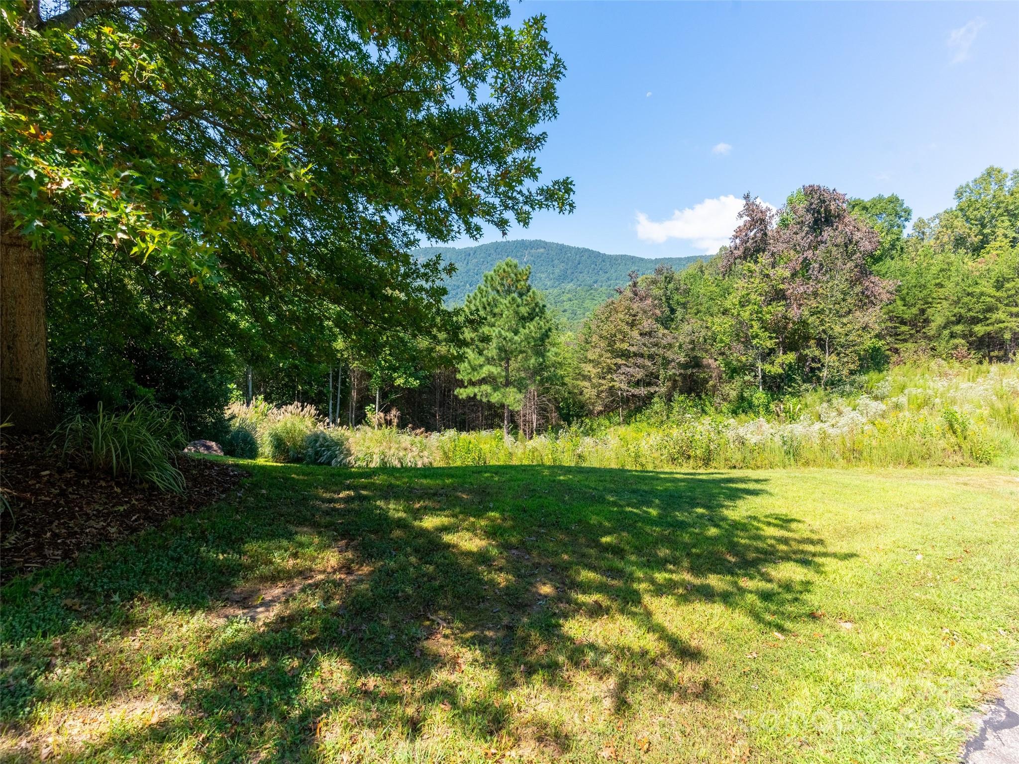 00 Chestertown Drive 85