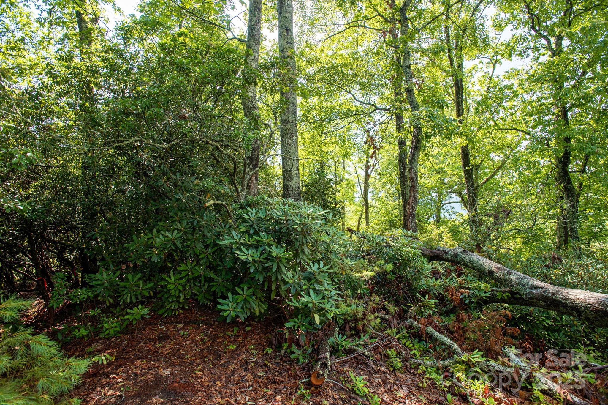 Lot # 1 Masterpiece View Drive 1