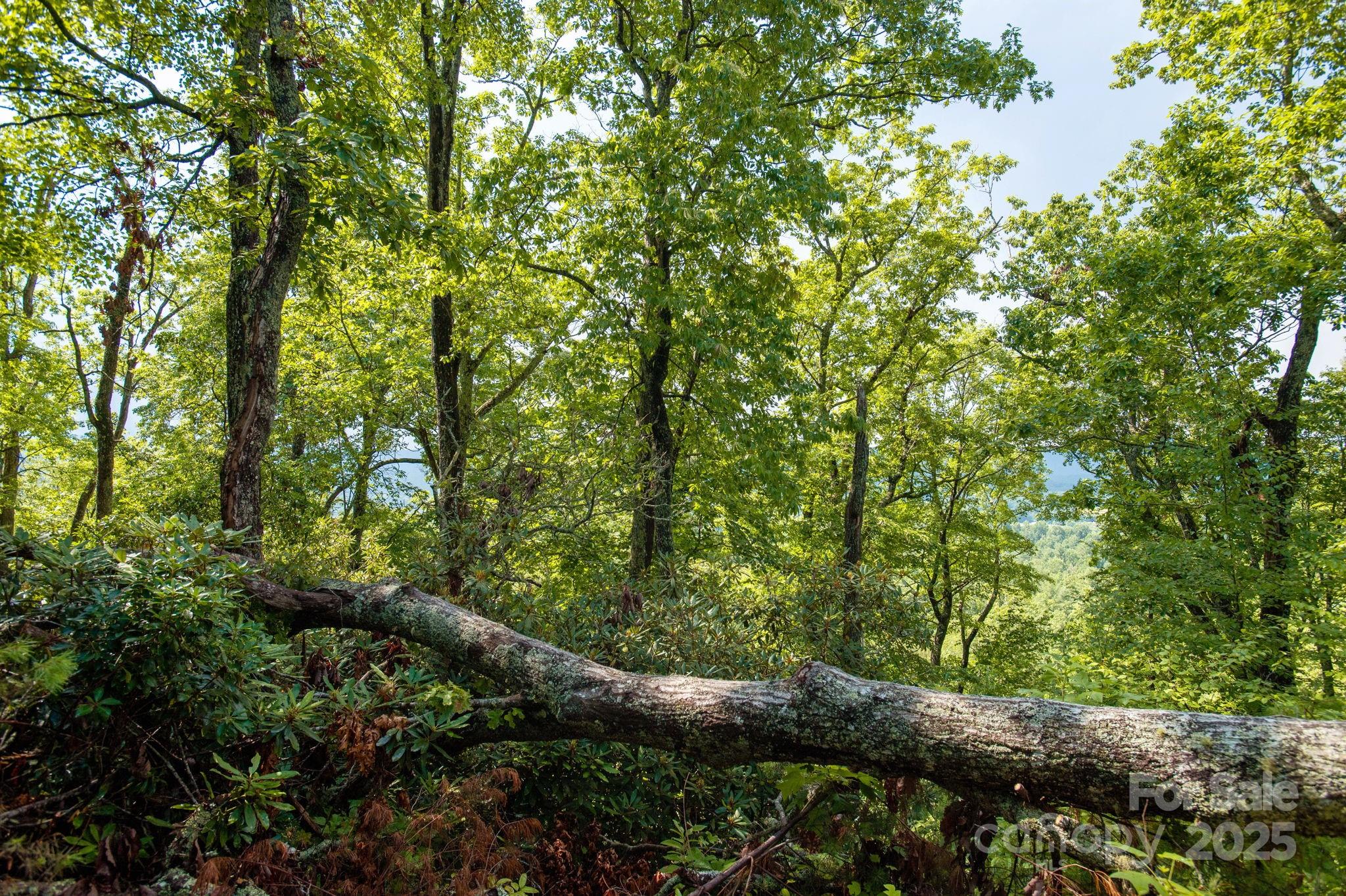 Lot # 1 Masterpiece View Drive 1