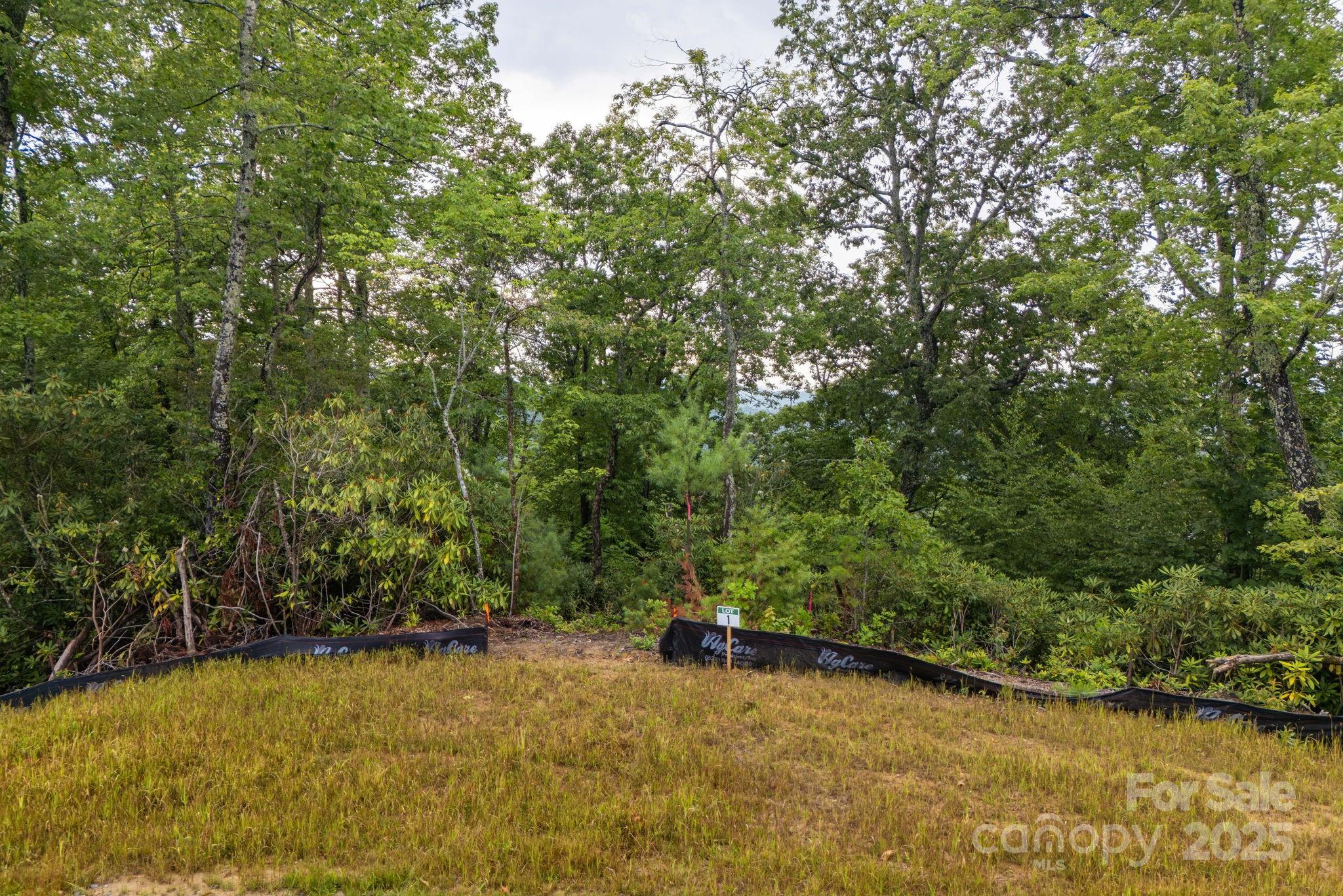 Lot # 1 Masterpiece View Drive 1