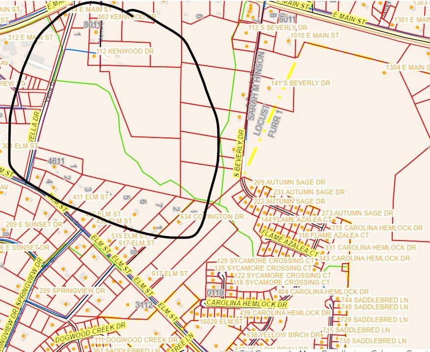 Main image without alt text