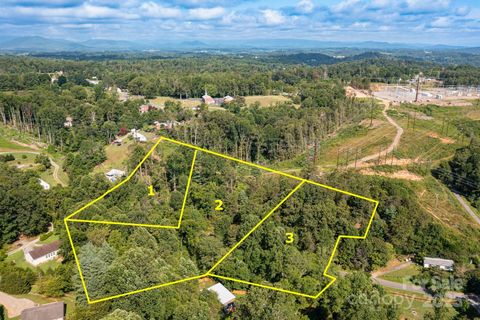 99999 Flynn Branch Road 1, 2 & 3 Asheville NC 28804