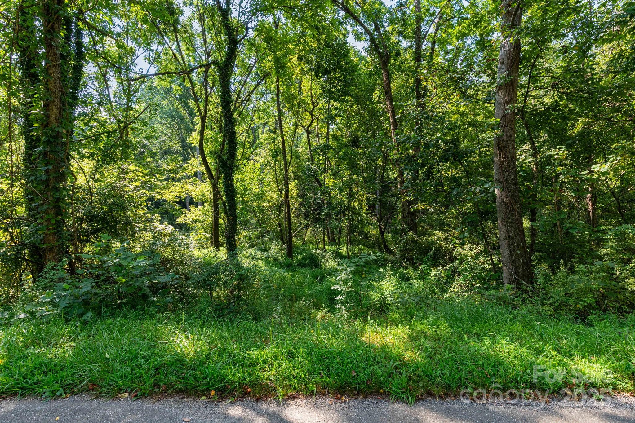 99999 Flynn Branch Road 1, 2 & 3