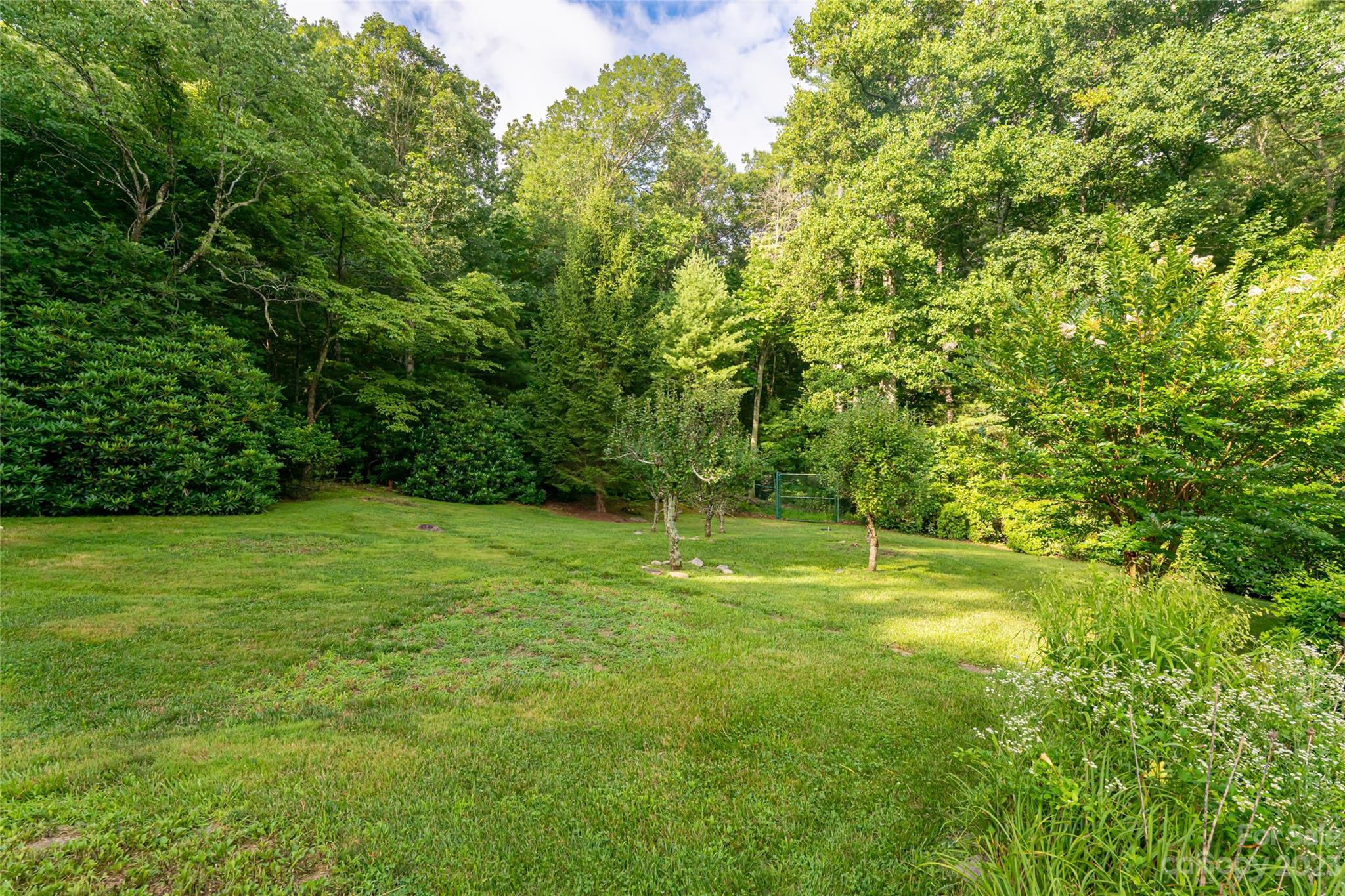 Biltmore Forest - Residential