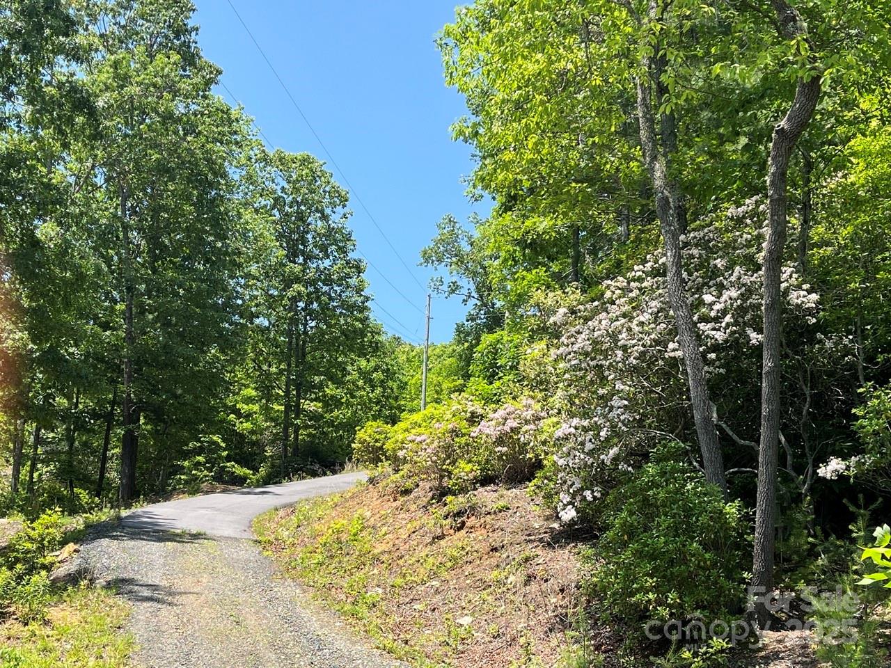 0000 Humpback Mountain Road
