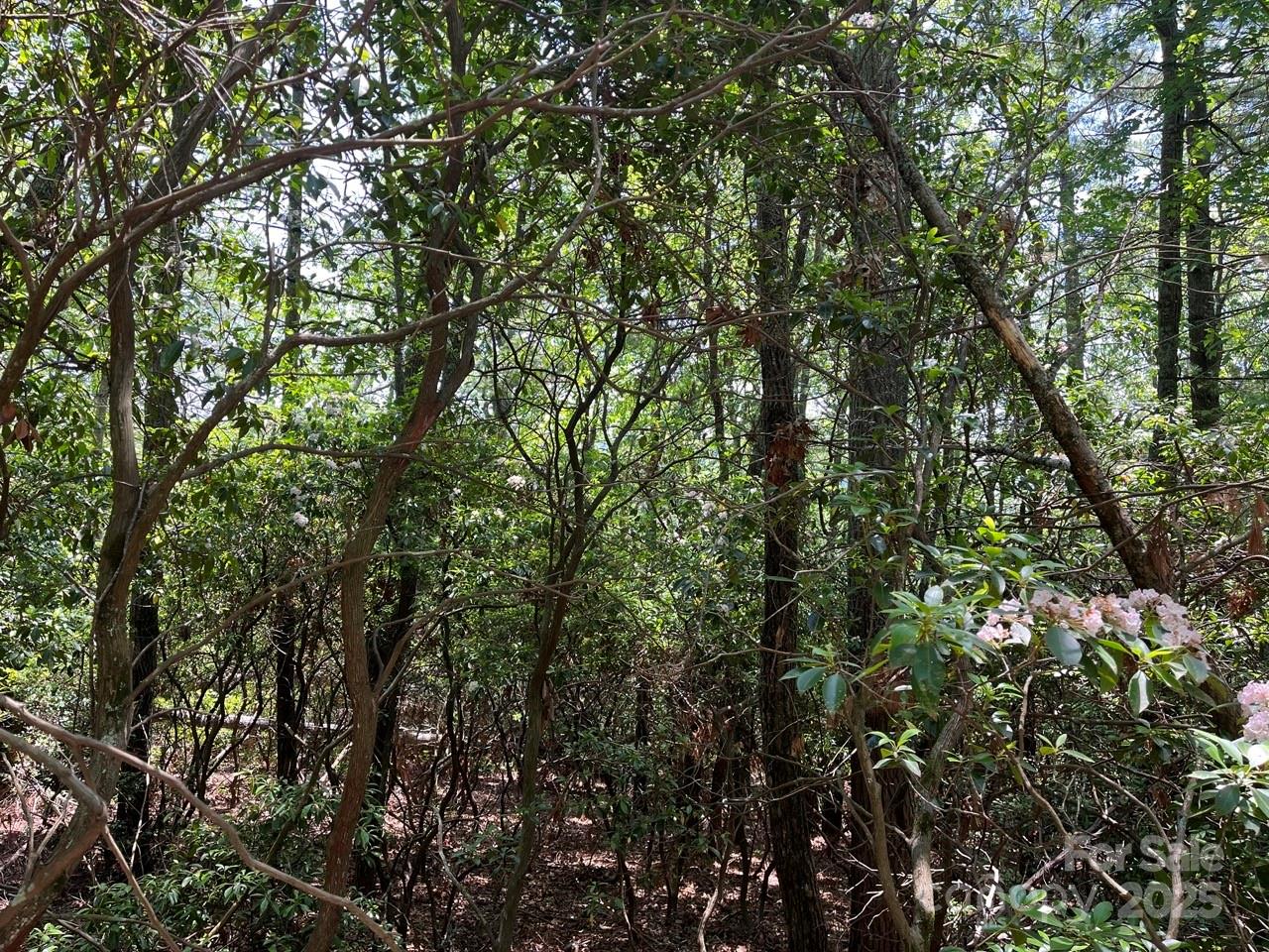 Highland Falls - Land