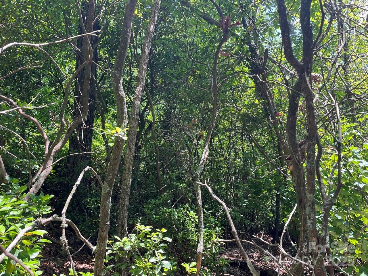 Highland Falls - Land