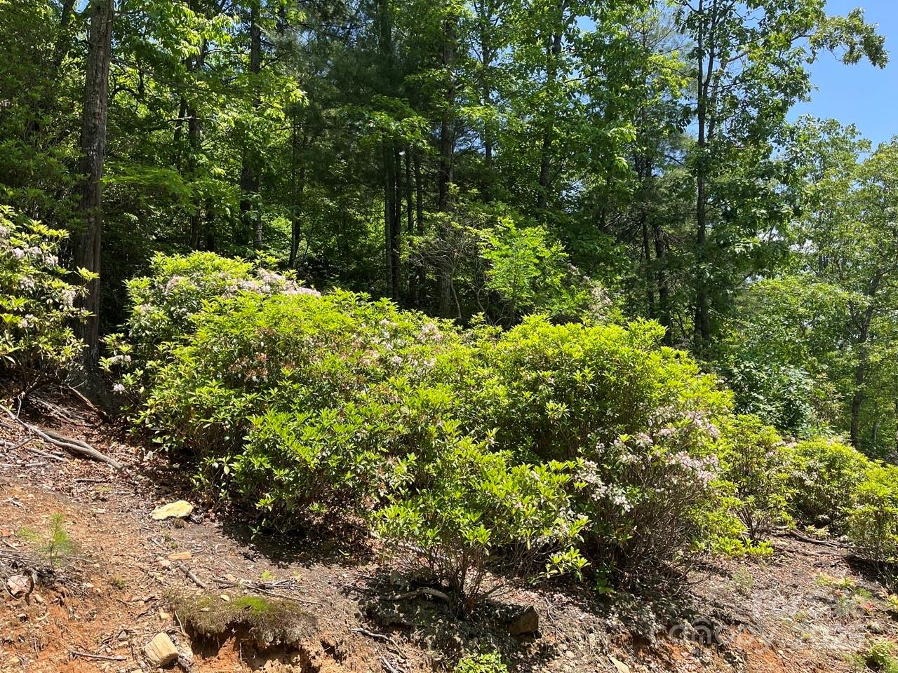 0000 Humpback Mountain Road