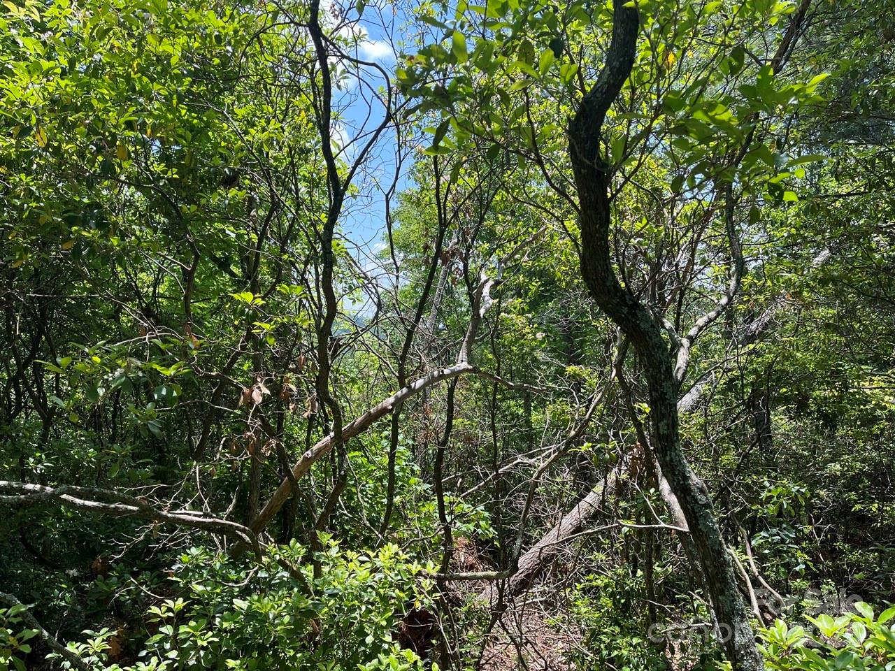 Highland Falls - Land