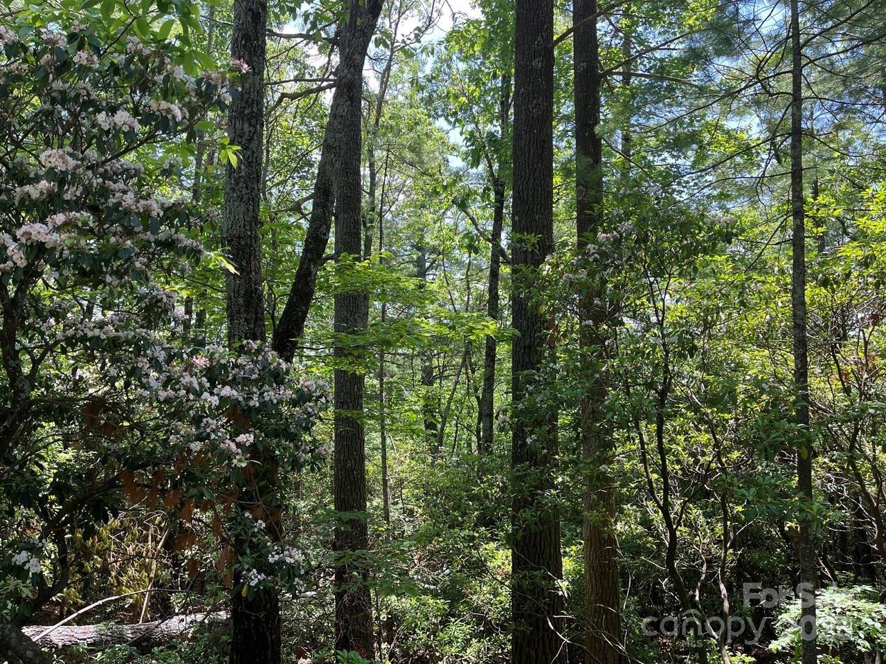 0000 Humpback Mountain Road