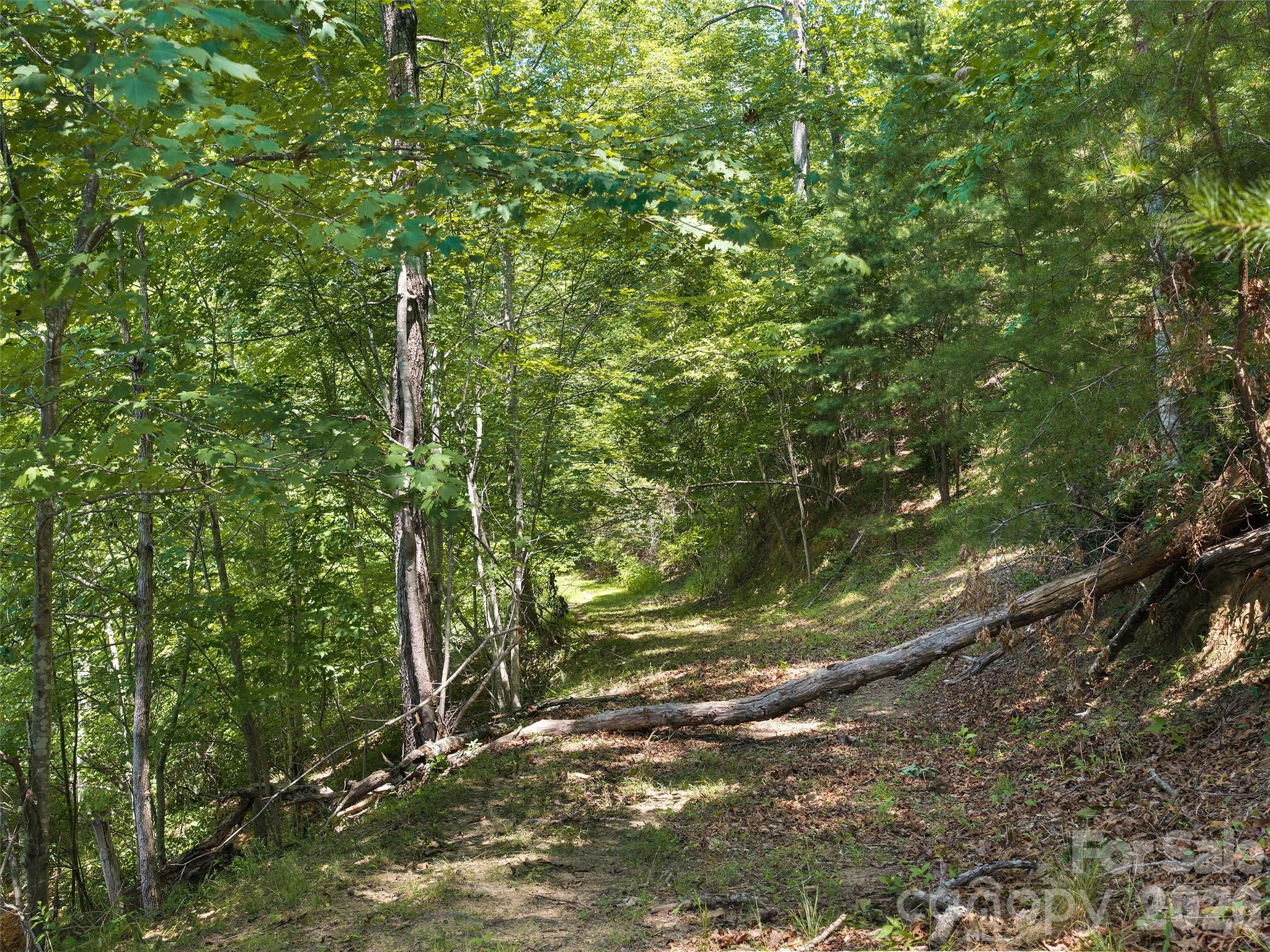 Lot 3 Loggers Pass Lane
