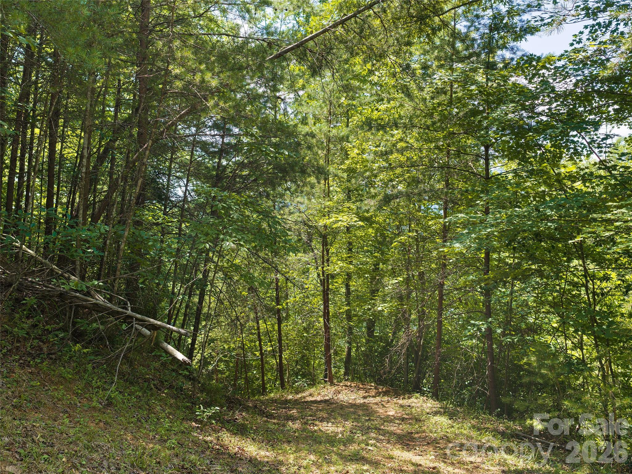 Lot 3 Loggers Pass Lane