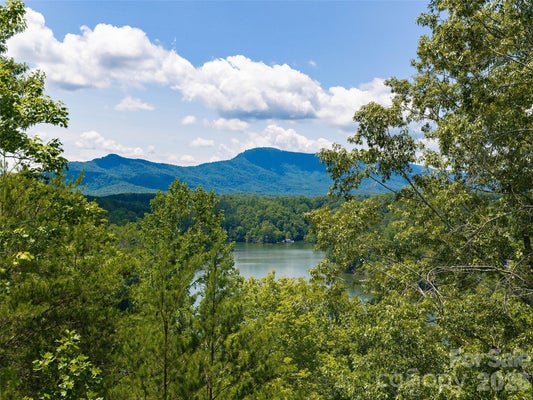 15 LOGGERS LN, NEWLAND, NC 28657 - Image ec0646ccbbeb80d9702daefdaf5d8239/3612319783