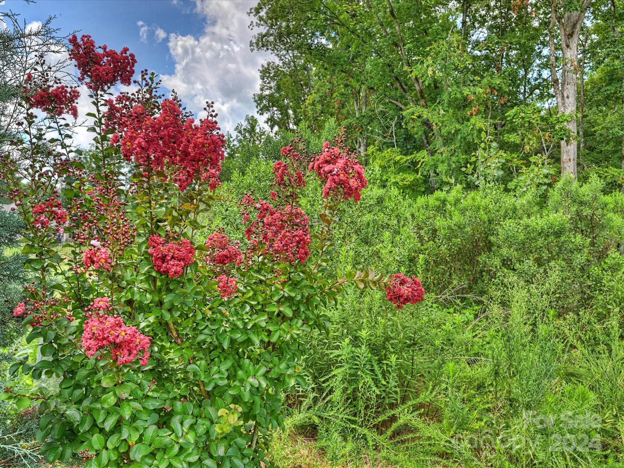 Queensbridge - Residential