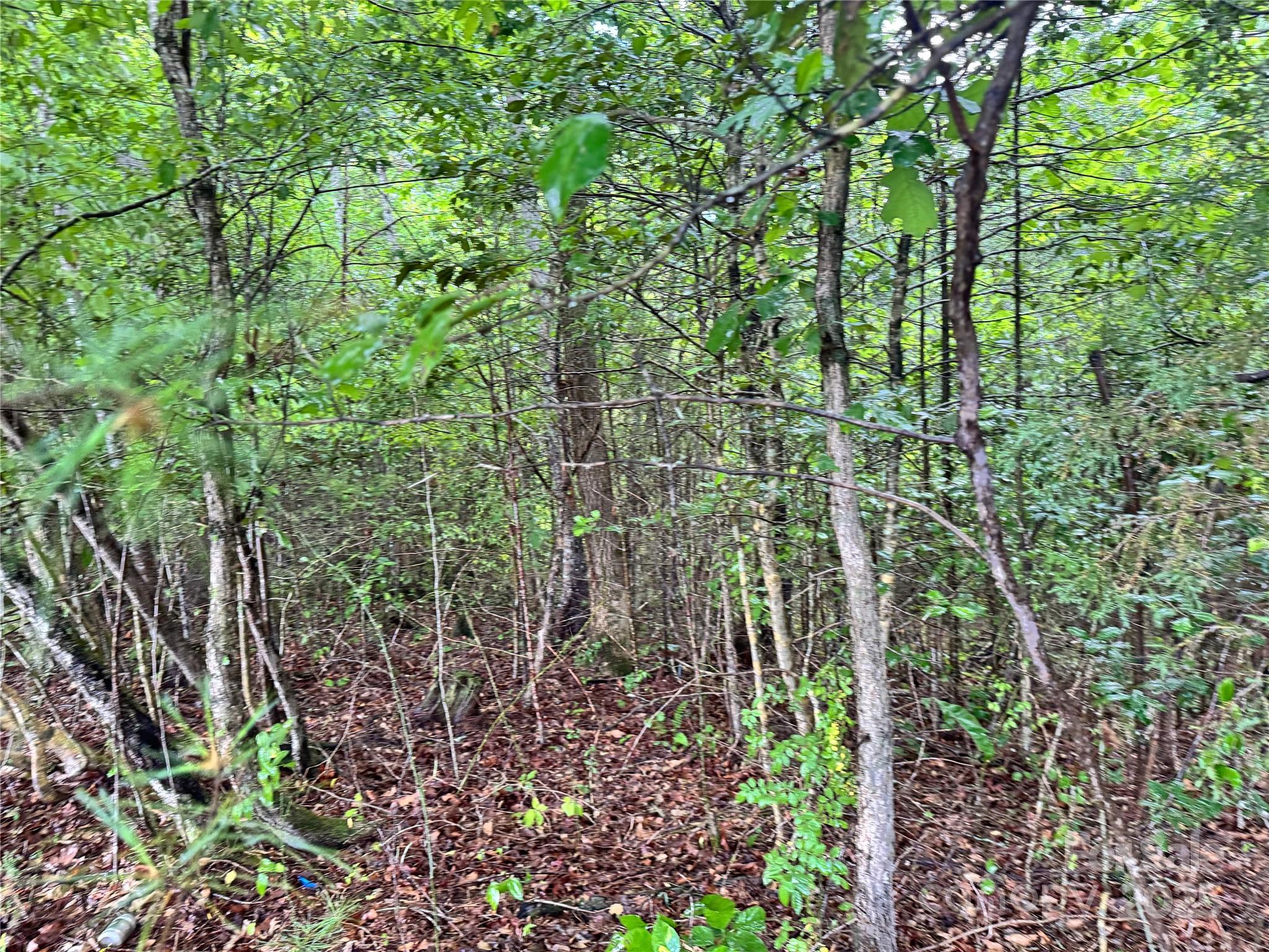 Grandview Heights - Land