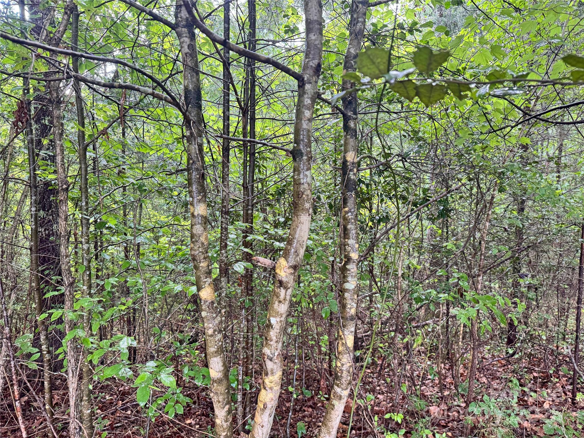 Grandview Heights - Land