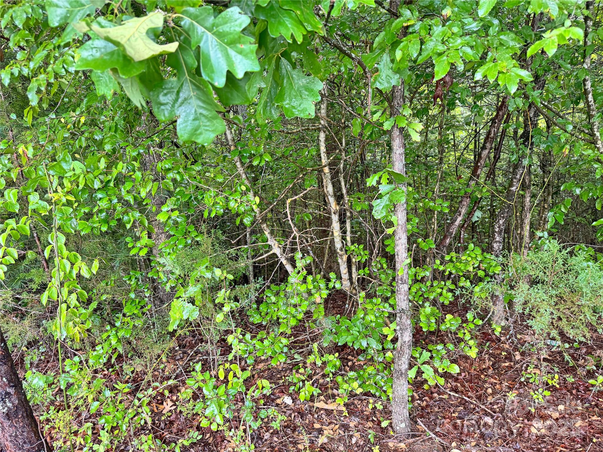 Grandview Heights - Land