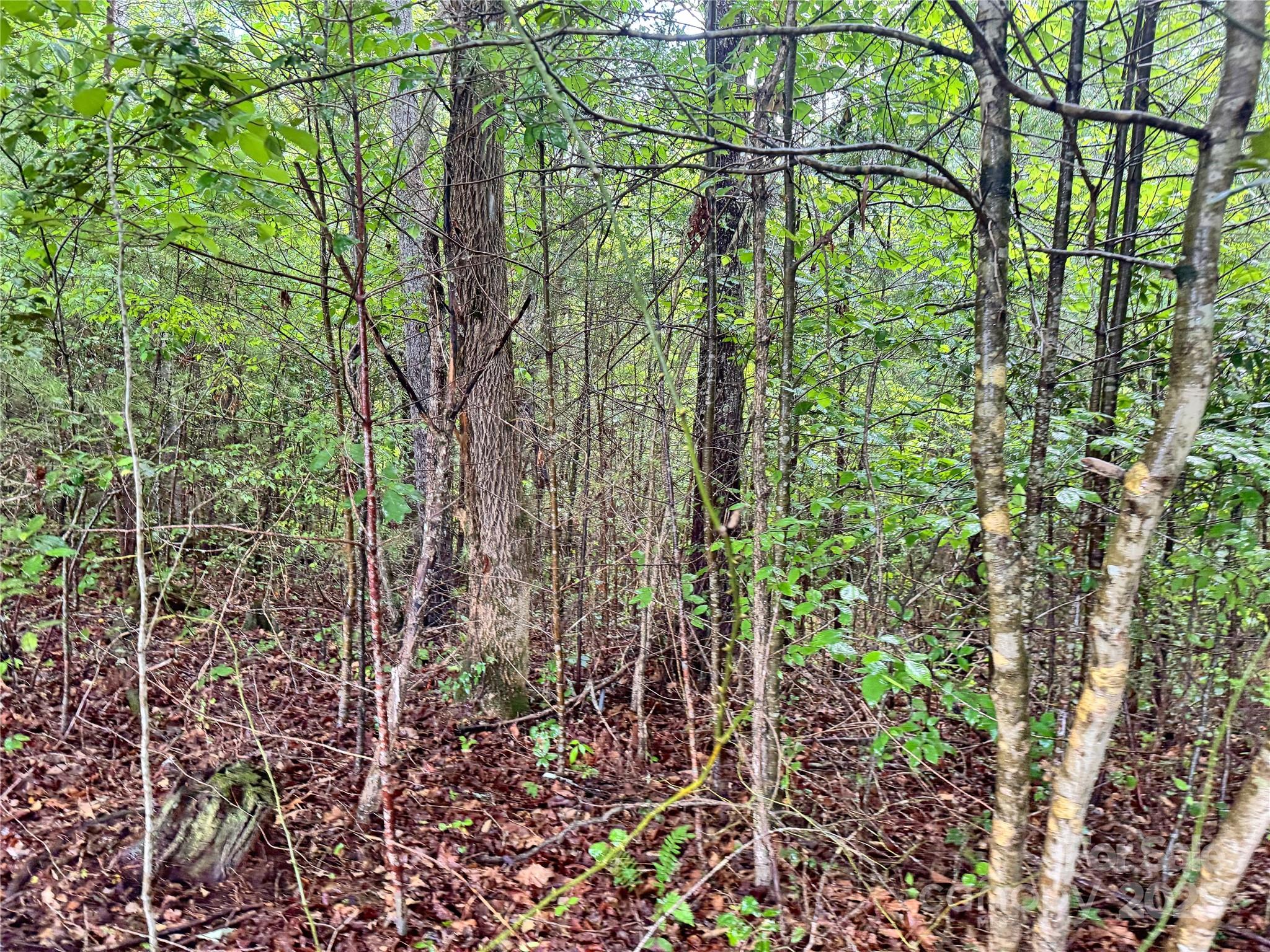 Grandview Heights - Land