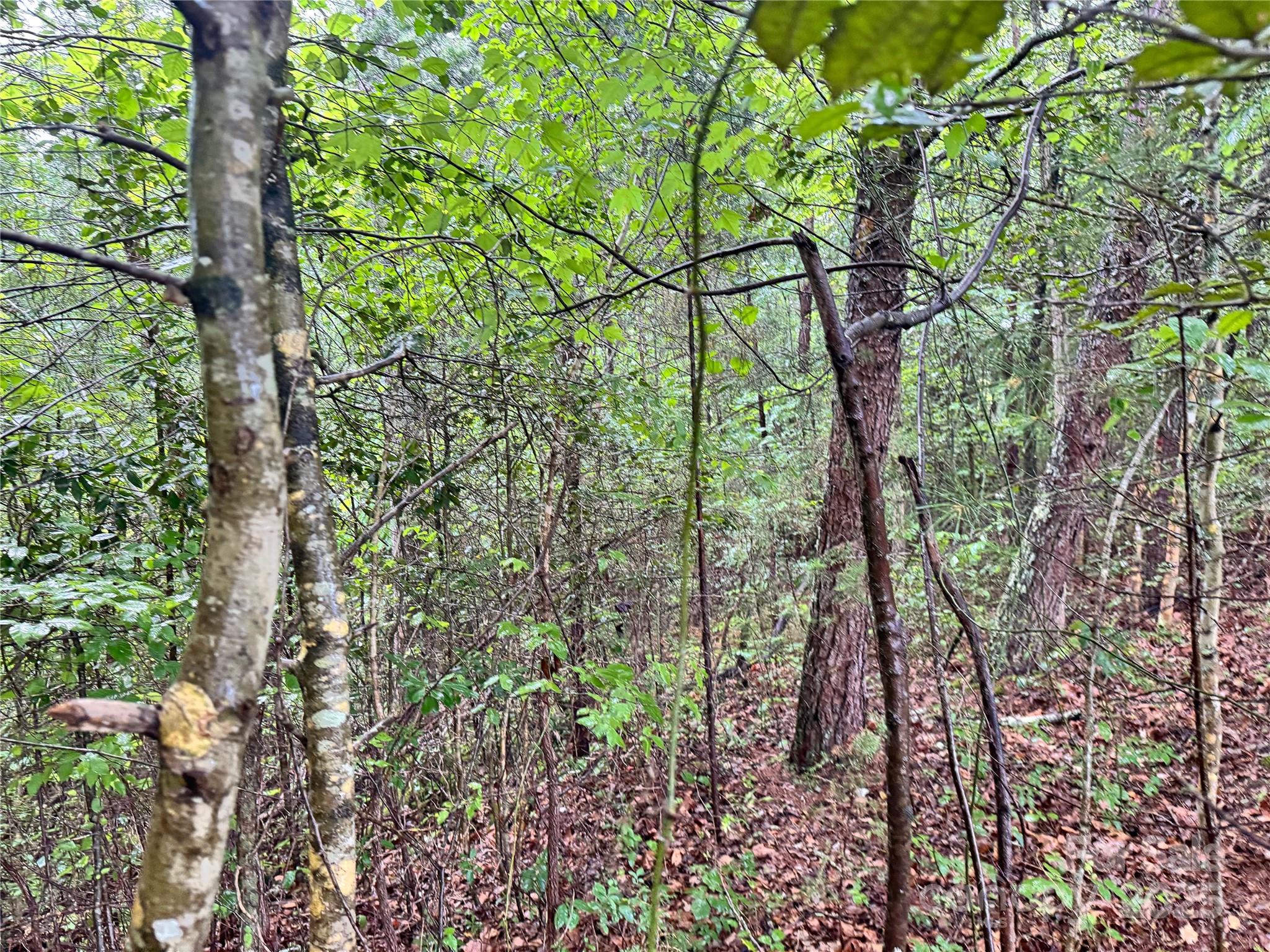 Grandview Heights - Land