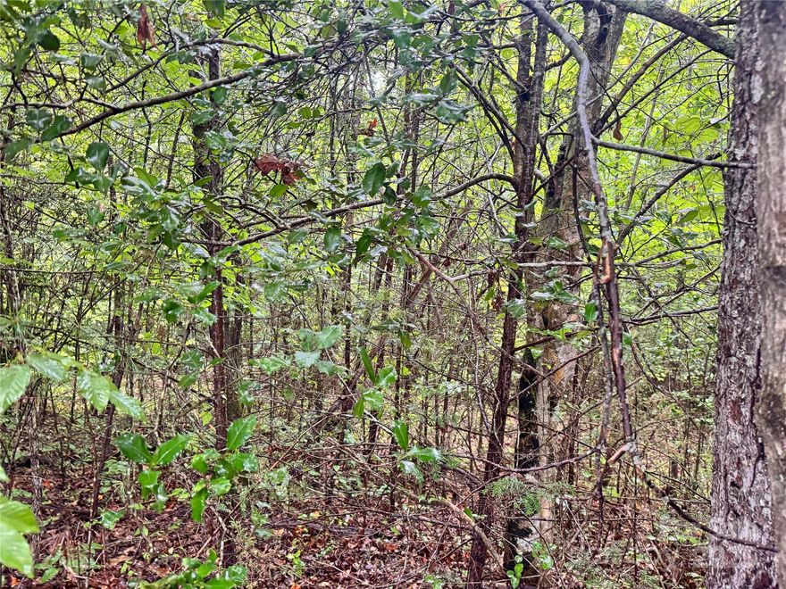 This gently sloping, wooded .55-acre lot is nestled at the peaceful end of a private road, offering a serene setting for your next home. The natural grade is ideal for a walk-out basement, and mature trees provide a sense of privacy and seclusion. County water is available (buyer would need to install a tap), and while light deed restrictions are in place, there’s no formal HOA. Stick-built and modular homes are allowed. Listed not too much above tax value, this lot is priced to sell. Need more space? The adjoining .66-acre lot is also available—purchase both for over an acre of potential in a quiet, established area.