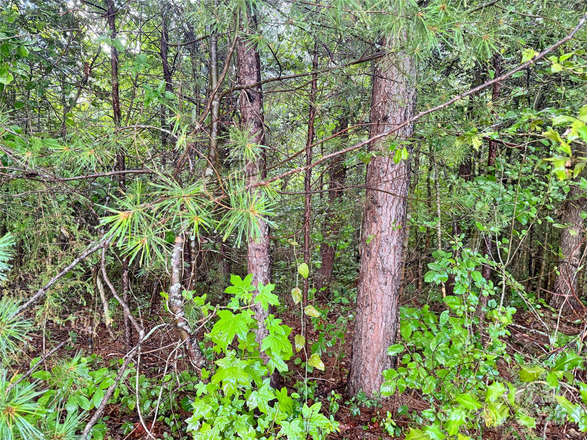 Grandview Heights - Land