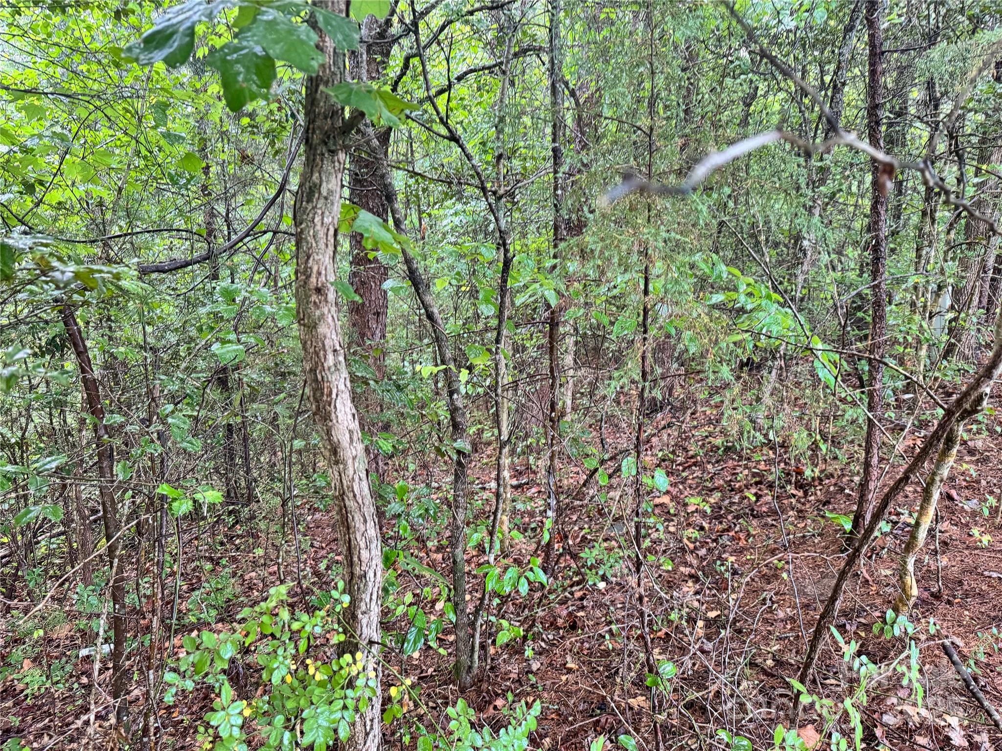 Grandview Heights - Land