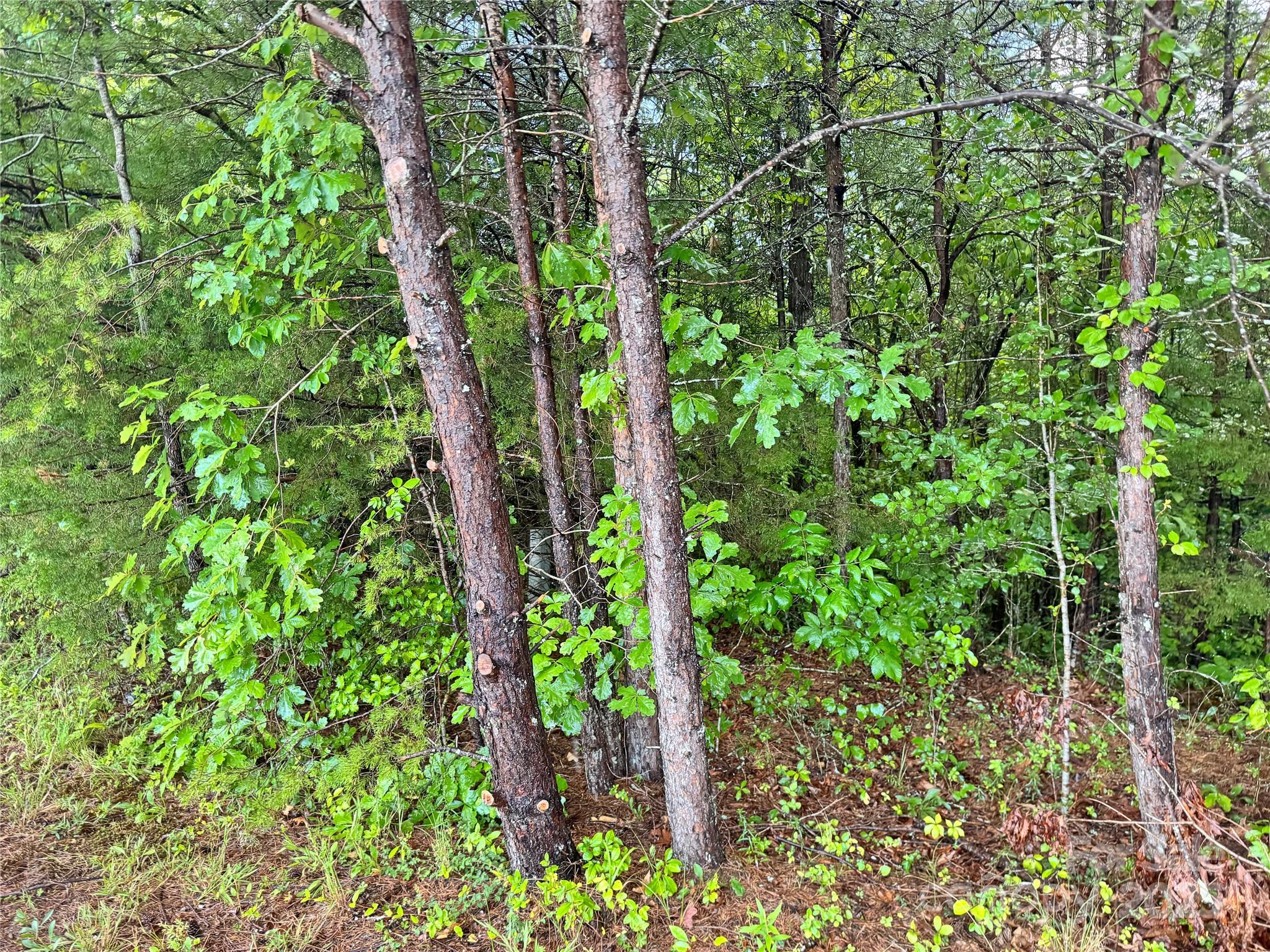 Grandview Heights - Land