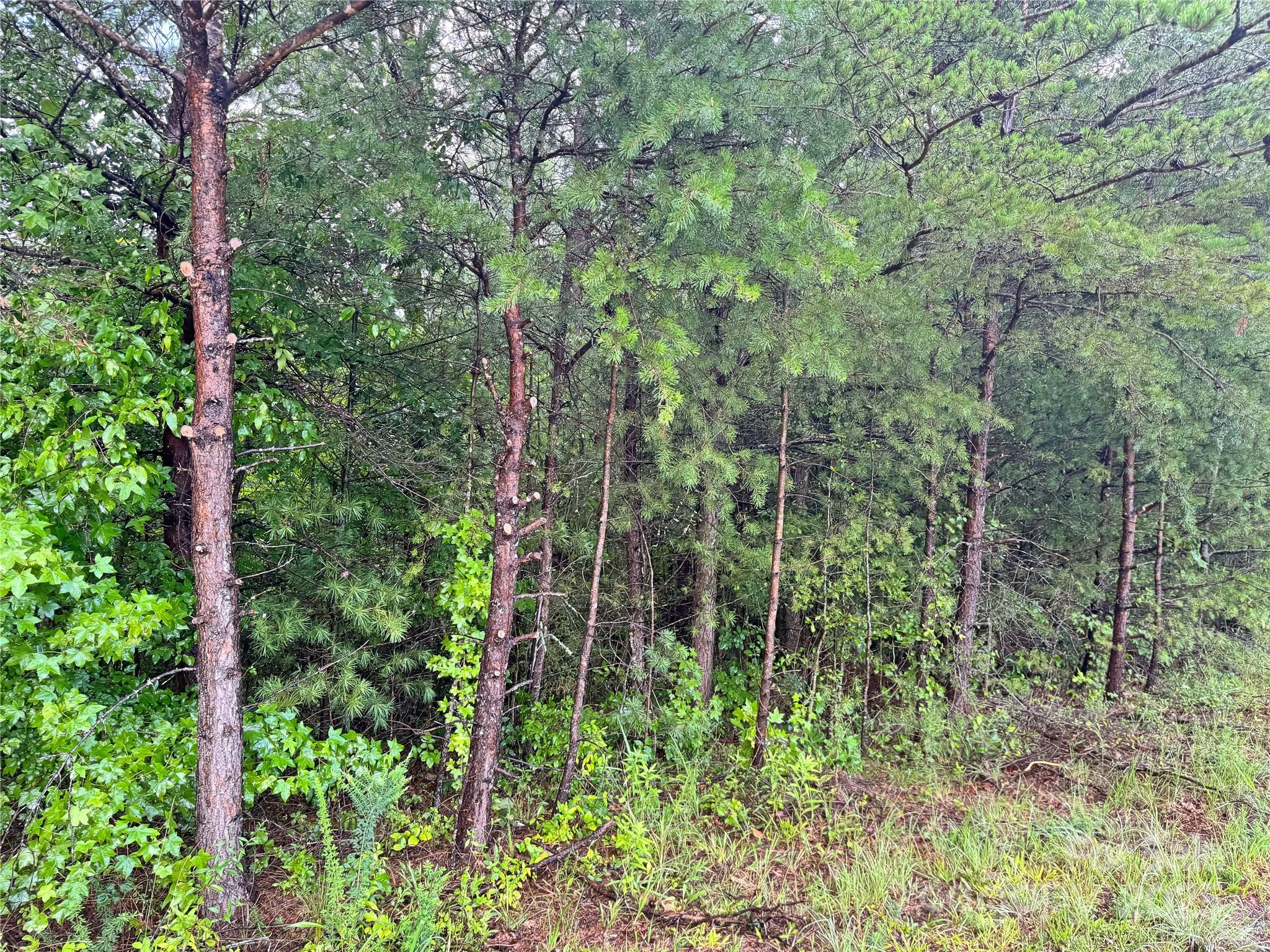 Grandview Heights - Land