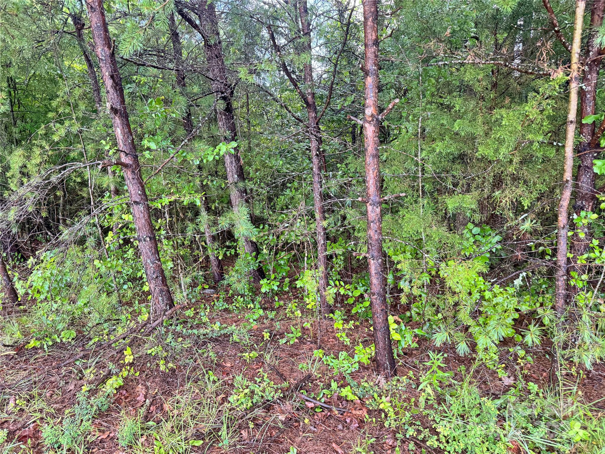 Grandview Heights - Land