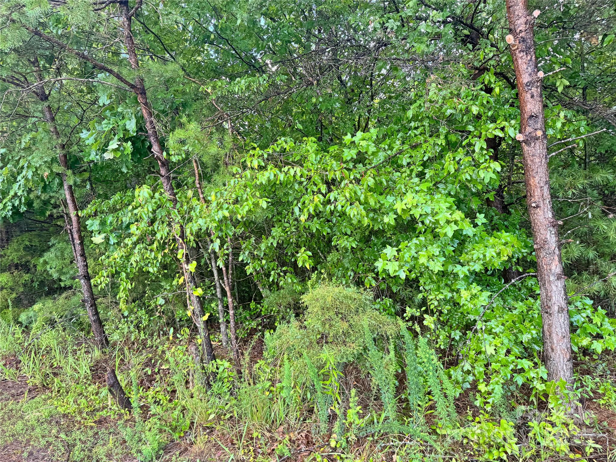 Grandview Heights - Land