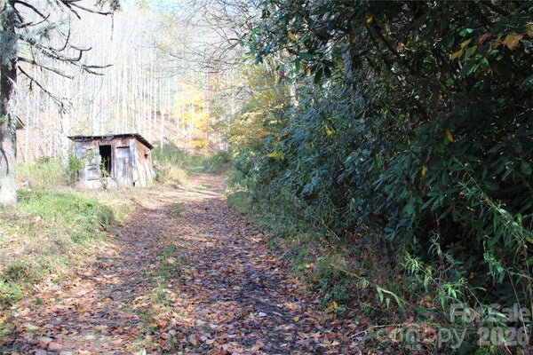 44 TOMS CREEK RD, BAKERSVILLE, NC 28705 - Image ec1850cc9b4c742c84a1bb01d5beb8f1/3159922221