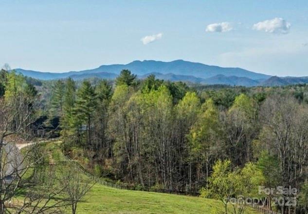 2017 Hitching Post Trail G11A