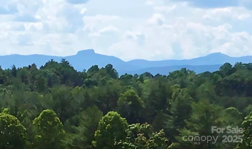 The Coves Mountain River Club - Land