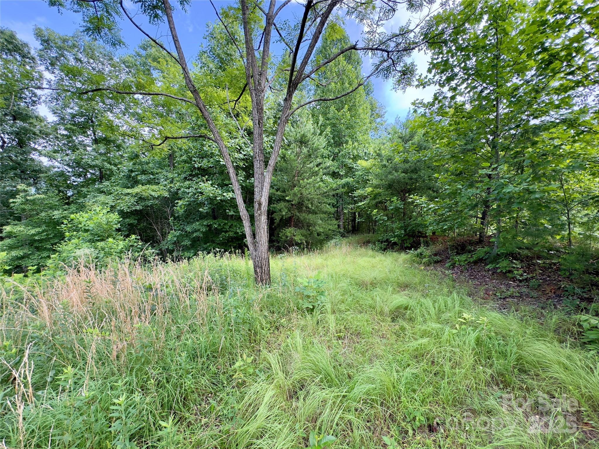 Forest Heights - Land