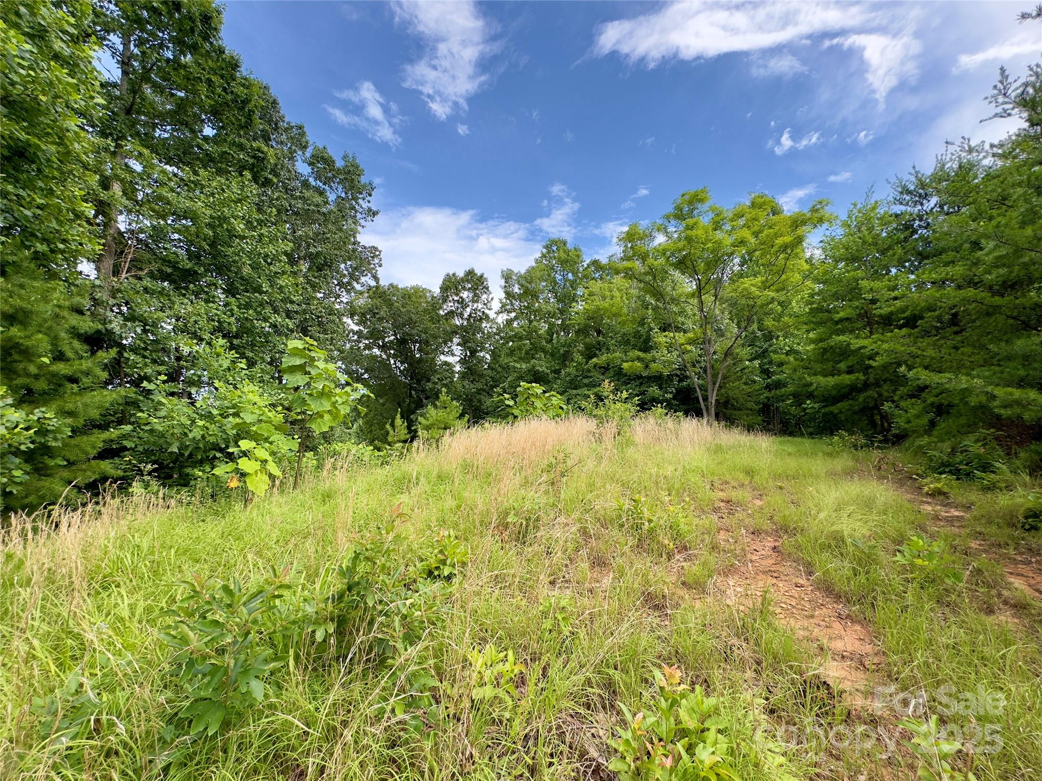 Forest Heights - Land