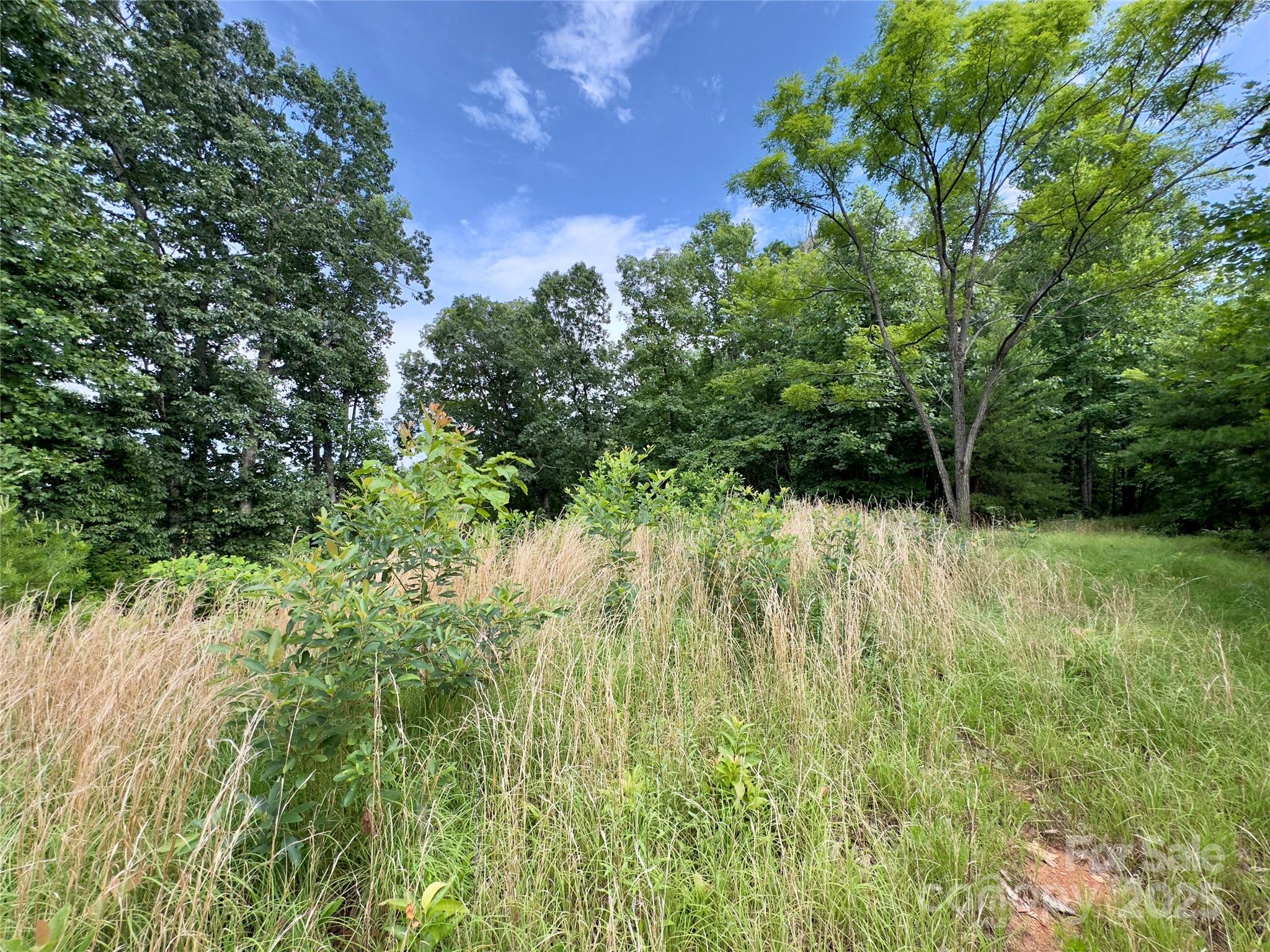 Forest Heights - Land