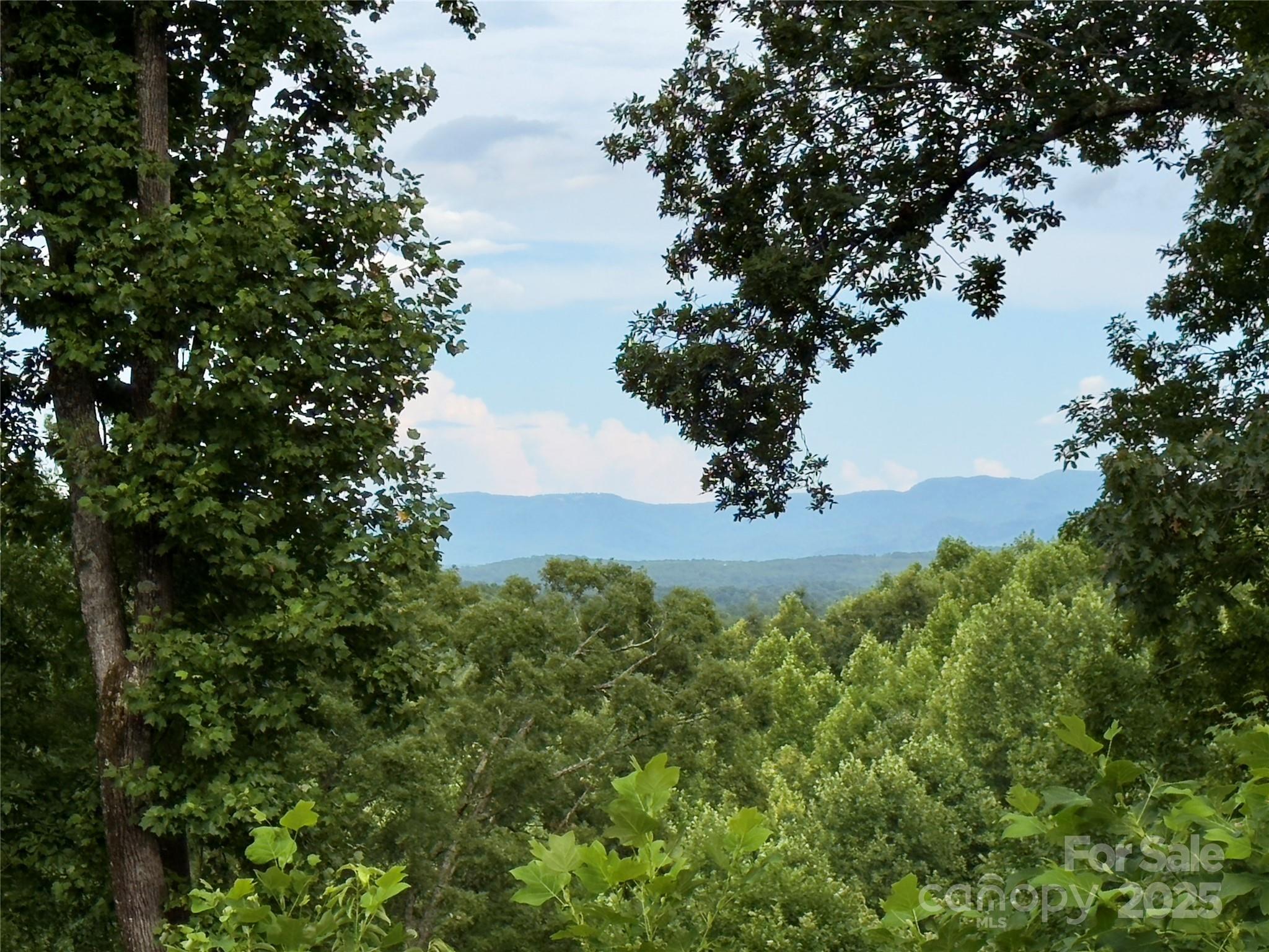 Forest Heights - Land