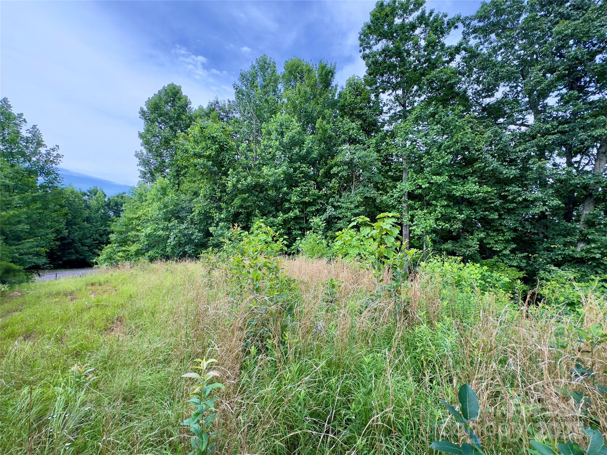 Forest Heights - Land