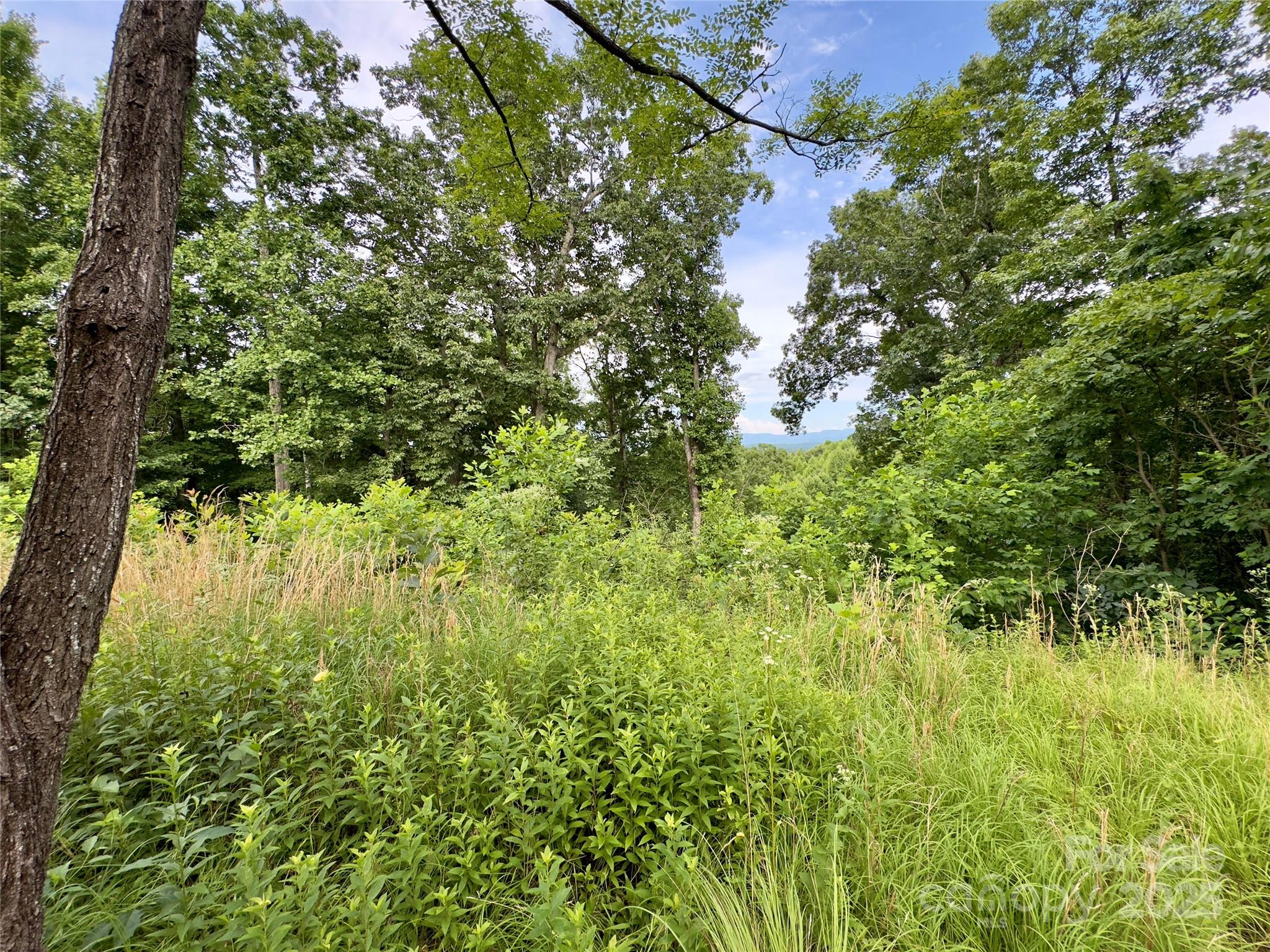 Forest Heights - Land