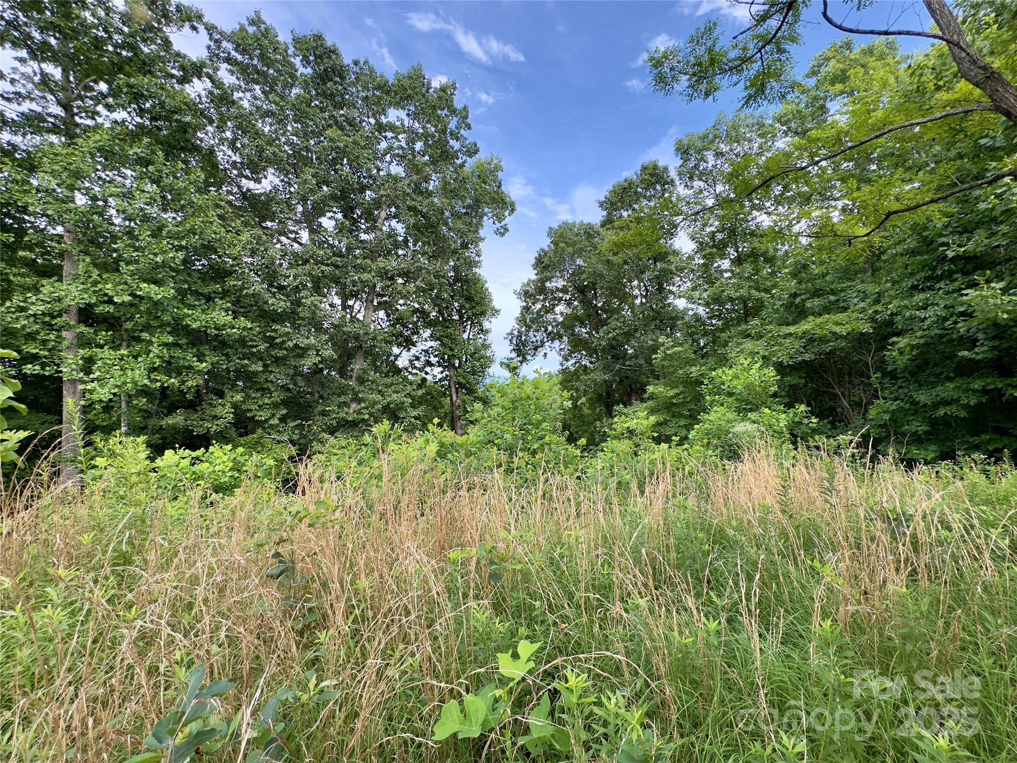 Forest Heights - Land