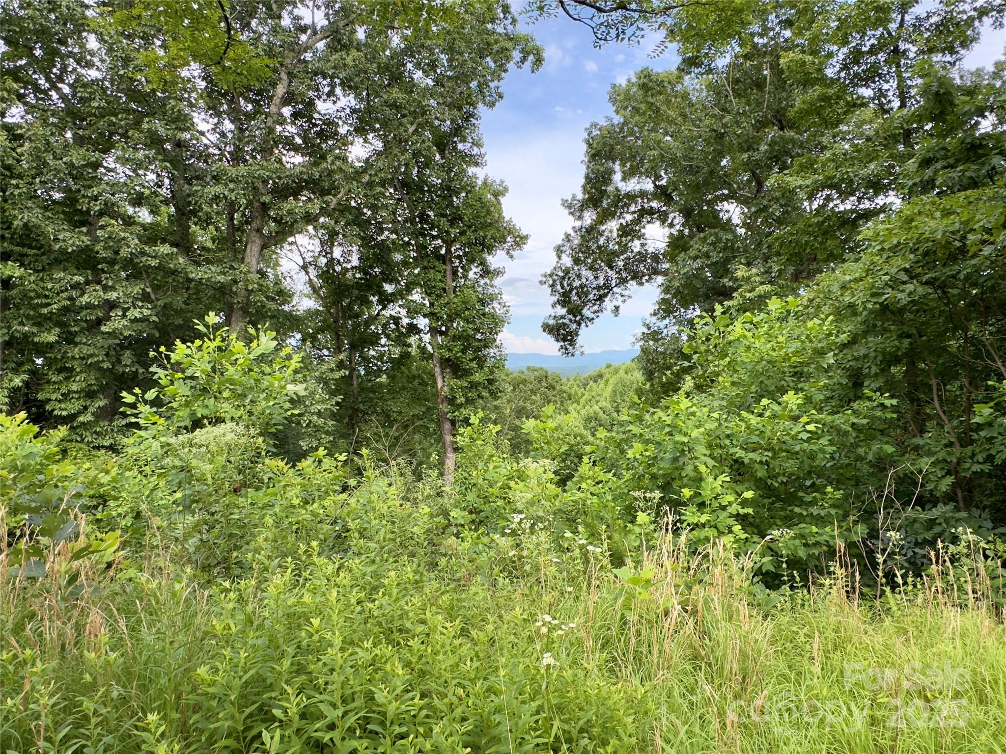 Forest Heights - Land