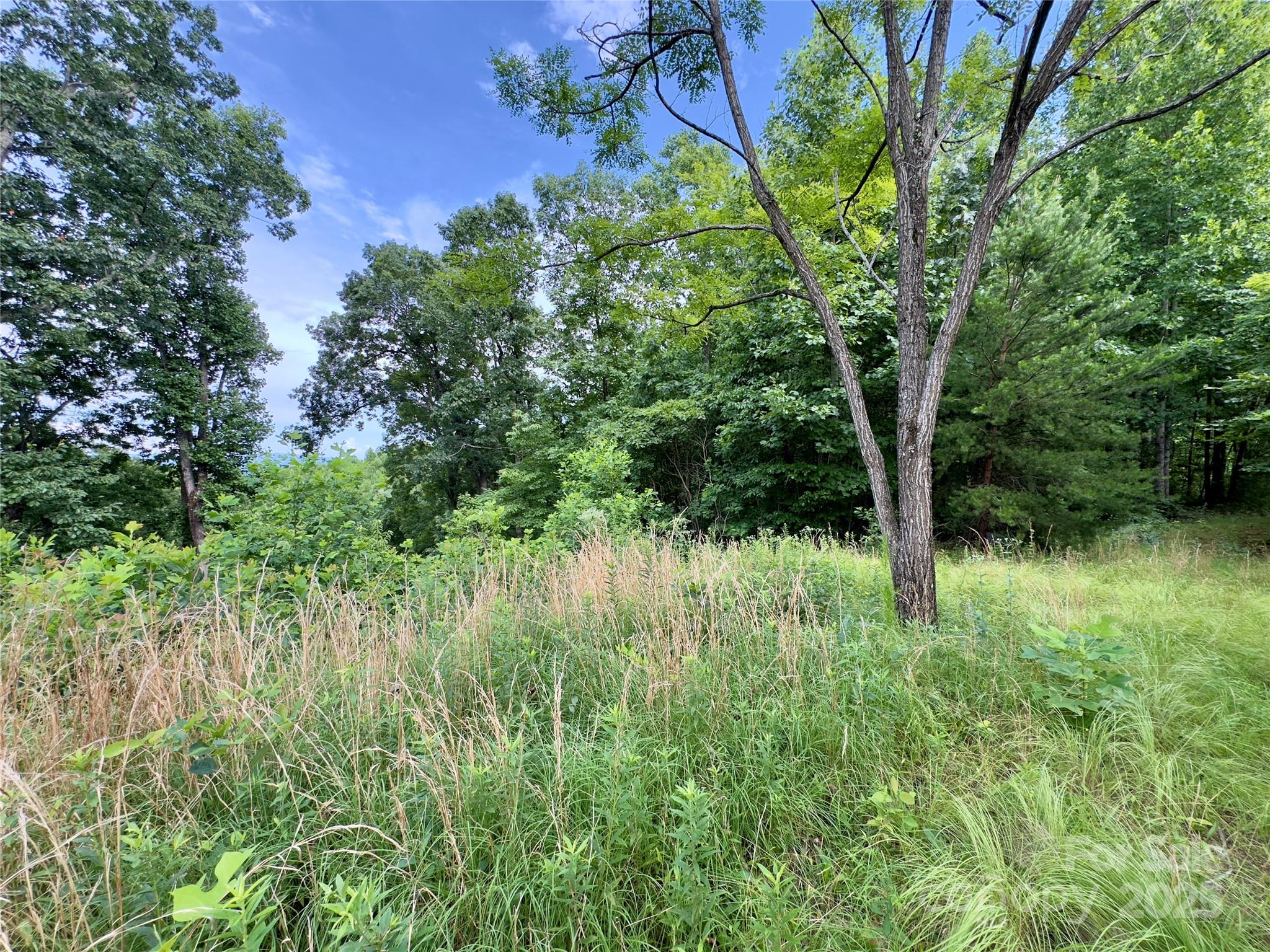 Forest Heights - Land