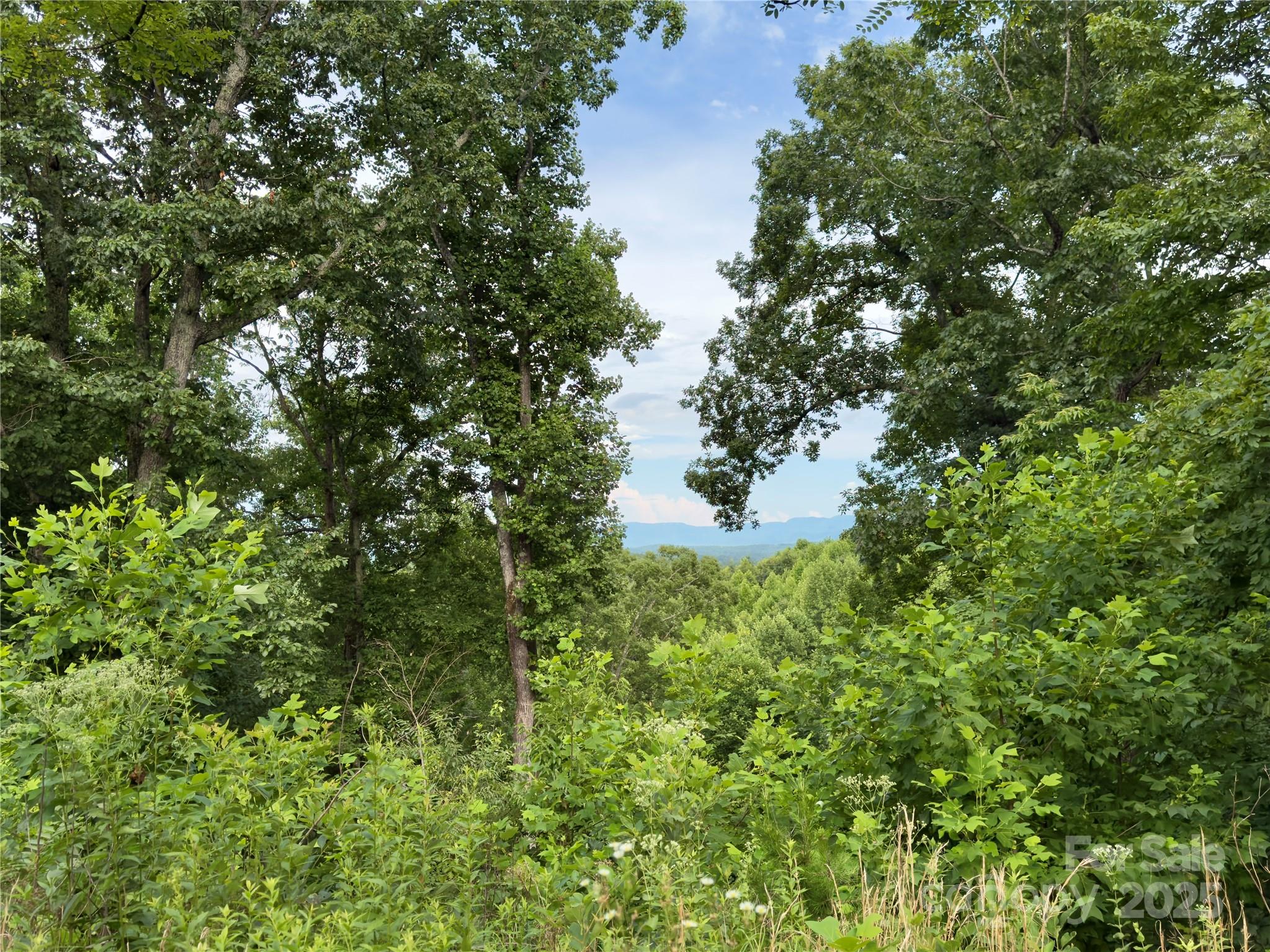 Forest Heights - Land